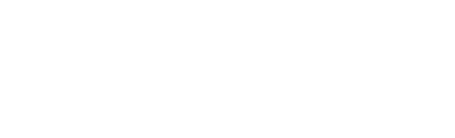 DL.Tech™