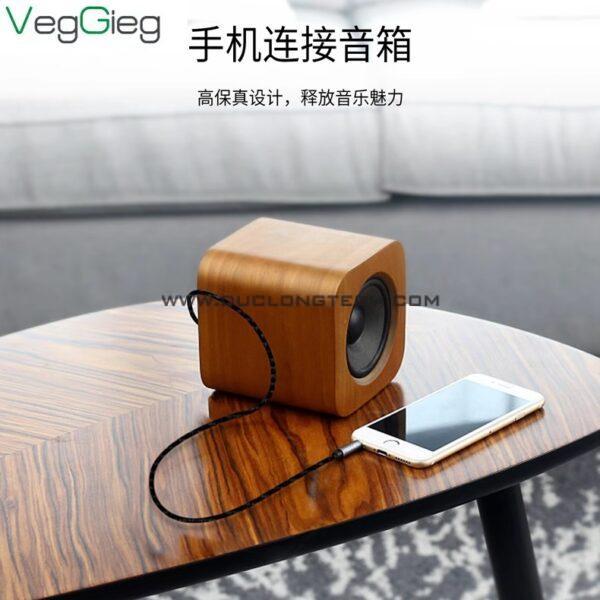 Dây cáp Audio 3.5mm Veggieg 2 V A501 10